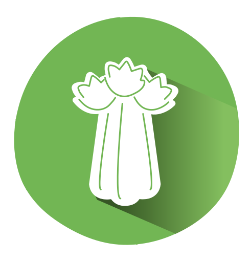 Celery Celery